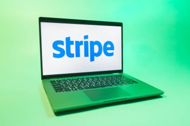 Prag, Çek Cumhuriyeti - 08 01 2025: Tek tip arka planda bir dizüstü bilgisayar Stripe logosunu gösterir. Stripe çevrimiçi ödeme işlemleri ve işlemleri için bir platformdur.