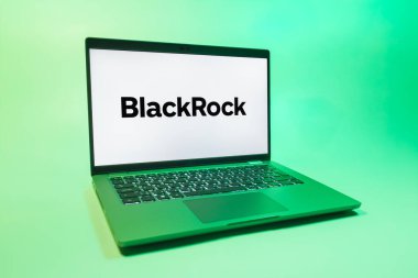 Prag, Çek Cumhuriyeti - 08 01 2025: Tek tip arka planda bir dizüstü bilgisayar BlackRock logosunu gösteriyor. BlackRock küresel bir yatırım yönetim şirketidir..