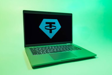 Prag, Çek Cumhuriyeti - 08 01 2025: Unither logosunu gösteren bir dizüstü bilgisayar. Bağlayıcı, ABD dolarına bağlı dijital bir kripto para birimi..