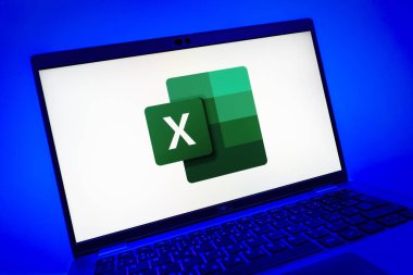 Prag, Çek Cumhuriyeti - 08 01 2025: Excel logosunu gösteren dizüstü bilgisayarın yakın görüntüsü. Excel, tablo, veri analizi ve hesaplamalar için bir yazılımdır..
