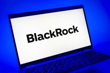 Prag, Çek Cumhuriyeti - 08 01 2025: BlackRock logosunu gösteren dizüstü bilgisayarın yakın görüntüsü. BlackRock küresel bir yatırım yönetim şirketidir..