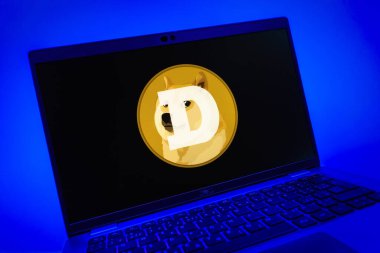 Prag, Çek Cumhuriyeti - 08 01 2025: Dogecoin logosunu gösteren dizüstü bilgisayarın yakın görüntüsü. Dogecoin, paylaşımcı işlemler için kullanılan bir şifreli para birimidir.