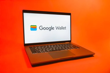 Prag, Çek Cumhuriyeti - 08 01 2025: Tek tip arka planda bir dizüstü bilgisayar Google Cüzdan logosunu gösterir. Google Cüzdanı dijital ödeme yöntemlerini depolamak ve kullanmak için bir platformdur.