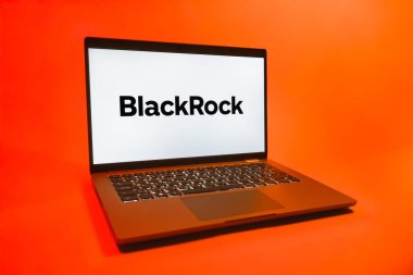 Prag, Çek Cumhuriyeti - 08 01 2025: Tek tip arka planda bir dizüstü bilgisayar BlackRock logosunu gösteriyor. BlackRock küresel bir yatırım yönetim şirketidir..