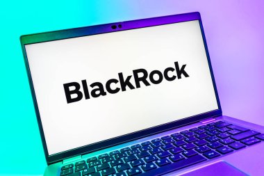 Prag, Çek Cumhuriyeti - 08 01 2025: BlackRock logosunu gösteren dizüstü bilgisayarın yakın görüntüsü. BlackRock küresel bir yatırım yönetim şirketidir..
