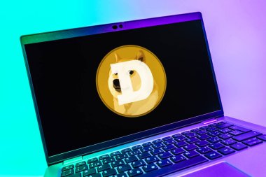 Prag, Çek Cumhuriyeti - 08 01 2025: Dogecoin logosunu gösteren dizüstü bilgisayarın yakın görüntüsü. Dogecoin, paylaşımcı işlemler için kullanılan bir şifreli para birimidir.