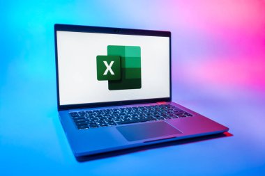 Prag, Çek Cumhuriyeti - 08 01 2025: Tek bir arkaplanda bir dizüstü bilgisayar Excel logosunu gösterir. Excel, tablo, veri analizi ve hesaplamalar için bir yazılımdır..