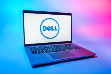 Prag, Çek Cumhuriyeti - 08 01 2025: Dell logosunu gösteren bir dizüstü bilgisayar. Dell bilgisayar ve bilişim çözümleri üreten bir teknoloji şirketidir..