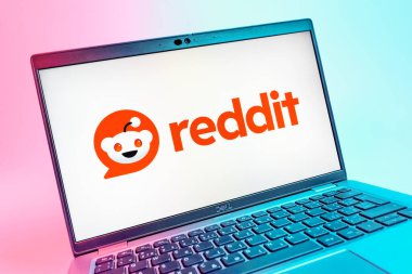 Prag, Çek Cumhuriyeti - 08 01 2025: Reddit logosunu gösteren dizüstü bilgisayarın yakın görüntüsü. Reddit tartışma, haber ve toplum içeriği için bir platformdur.