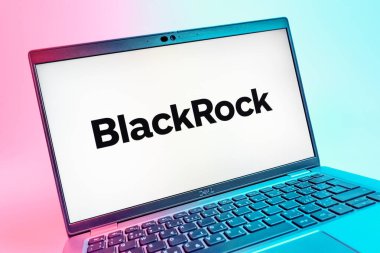 Prag, Çek Cumhuriyeti - 08 01 2025: BlackRock logosunu gösteren dizüstü bilgisayarın yakın görüntüsü. BlackRock küresel bir yatırım yönetim şirketidir..