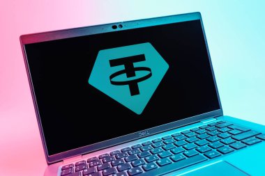 Prag, Çek Cumhuriyeti - 08 01 2025: Bağlantı logosunu gösteren dizüstü bilgisayarın yakın görüntüsü. Bağlayıcı, ABD dolarına bağlı dijital bir kripto para birimi..