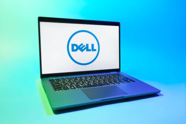Prag, Çek Cumhuriyeti - 08 01 2025: Dell logosunu gösteren bir dizüstü bilgisayar. Dell bilgisayar ve bilişim çözümleri üreten bir teknoloji şirketidir..
