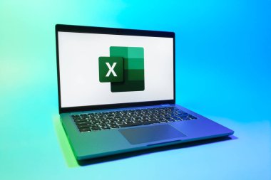 Prag, Çek Cumhuriyeti - 08 01 2025: Tek bir arkaplanda bir dizüstü bilgisayar Excel logosunu gösterir. Excel, tablo, veri analizi ve hesaplamalar için bir yazılımdır..