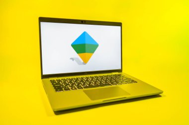 Prag, Çek Cumhuriyeti - 08 01 2025: Google Family Link logosunu gösteren bir dizüstü bilgisayar. Google Family Link ebeveyn denetimi ve çocuk hesabı yönetimi için bir platformdur.