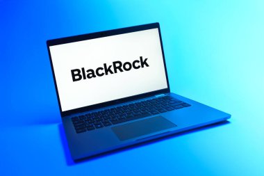 Prague, Czechia - 08 12 2025: A dynamic view of a laptop on a uniform background displaying the BlackRock logo. BlackRock is a global investment management company.