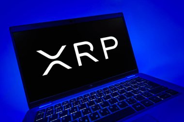 Prag, Çek Cumhuriyeti - 08 12 2025: Dalgacık logosunu gösteren bir dizüstü bilgisayarın dinamik yakın çekimi. Dalgalanma dijital kripto para birimi ve ödeme protokolüdür..