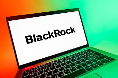 Prag, Çek Cumhuriyeti - 08 12 2025: BlackRock logosunu gösteren bir dizüstü bilgisayarın dinamik yakın çekimi. BlackRock küresel bir yatırım yönetim şirketidir..