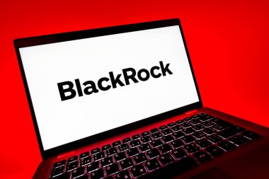 Prag, Çek Cumhuriyeti - 08 12 2025: BlackRock logosunu gösteren bir dizüstü bilgisayarın dinamik yakın çekimi. BlackRock küresel bir yatırım yönetim şirketidir..