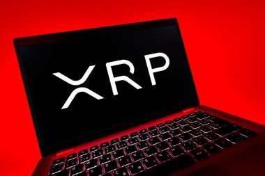 Prag, Çek Cumhuriyeti - 08 12 2025: Dalgacık logosunu gösteren bir dizüstü bilgisayarın dinamik yakın çekimi. Dalgalanma dijital kripto para birimi ve ödeme protokolüdür..