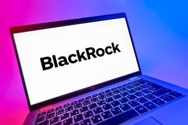 Prag, Çek Cumhuriyeti - 08 12 2025: BlackRock logosunu gösteren bir dizüstü bilgisayarın dinamik yakın çekimi. BlackRock küresel bir yatırım yönetim şirketidir..