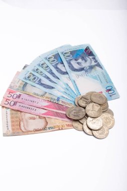 Bir yığın Kanada banknotları ve paraları. Bozuk paralar gümüş, banknotlar mavi ve pembe.