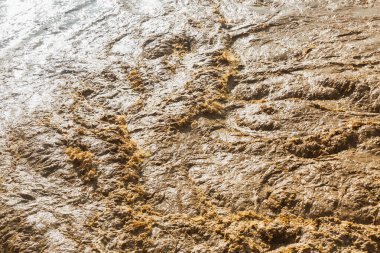 Çamurlu, ıslak toprak, bir sürü pislik ve enkaz. Su bulanık ve kahverengidir ve zemin çamurla kaplıdır. Sahne, su gibi kaos ve düzensizliktir.