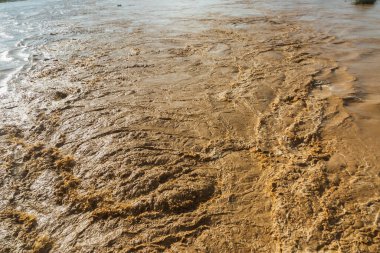 Bol suyu olan çamurlu, kahverengi bir nehir. Su bulanık ve kahverengimsi bir tonu var. Kirli ve sevimsiz olduğu izlenimini veriyor. Çamurlu nehir yatağı suyla dolu.