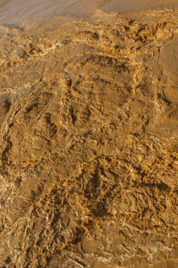 Çamurlu, kahverengi bir yüzey, içinden su fışkırıyor. Su bulanık ve kirli görünüyor, bu da ortamı biraz kaygı verici ya da öngörülü yapıyor.