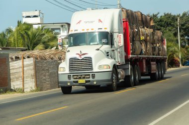 Acapulco, Tumbes, Peru 11-30-2024: Kırmızı çizgili beyaz bir tır yolda ilerliyor. Kamyon bir sürü kütük taşıyor.