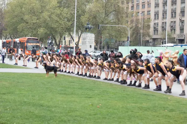 Santiago, Şili - 19 Eylül 2019: Bir grup insan bir parkta kuyruğa girdiler ve aralarında bir köpek duruyor..