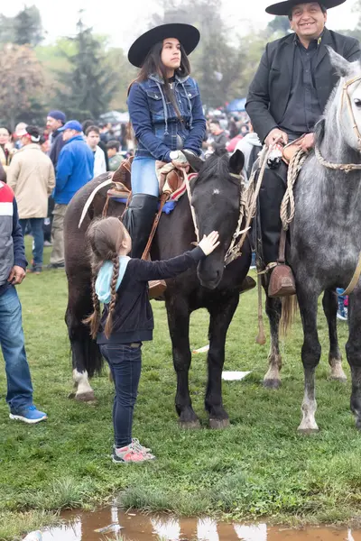 Santiago, Şili - 19 Eylül 2018: Genç bir kız arkasında bir adam dururken bir atı okşuyor. Sahne canlı ve eğlenceli, atların etrafında bir sürü insan var..