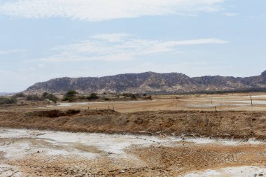Birkaç ağacın etrafa saçıldığı kuru ve çorak bir arazi. Gökyüzü açık ve mavi ve görünürde hiç bulut yok.
