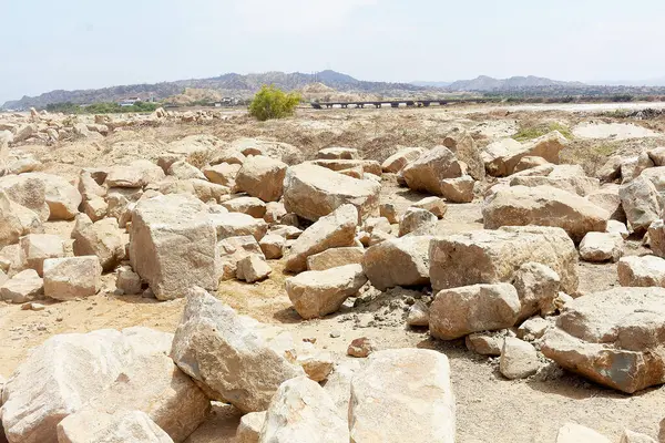 Birkaç ağacın etrafa saçıldığı kayalık bir çöl manzarası. Kayalar çeşitli boyutlarda ve şekillerde birikiyor, derinlik ve doku hissi yaratıyor. Sahne izolasyon hissi uyandırıyor.
