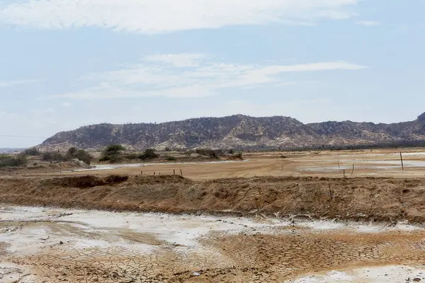 Birkaç ağacın etrafa saçıldığı kuru ve çorak bir arazi. Gökyüzü açık ve mavi ve görünürde hiç bulut yok.