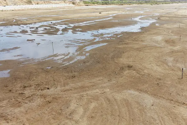 Önünde küçük bir su kütlesi olan kuru, kumlu bir sahil. Su bulanık ve kahverengimsi bir rengi var