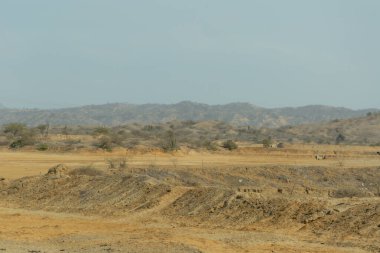 Arkasında birkaç ağaç ve dağ olan bir çöl manzarası. Gökyüzü açık ve güneş parlıyor.