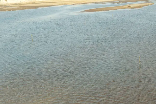 Su kahverengi ve bulanık. Suda bazı çubuklar var. Su sakin ve durgun.