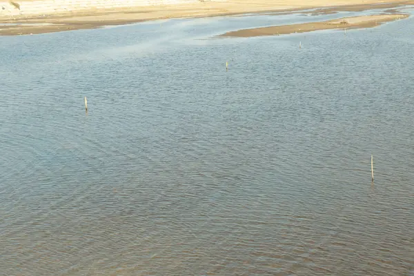 Su kahverengi ve bulanık. Suda bazı çubuklar var. Su sakin ve durgun.