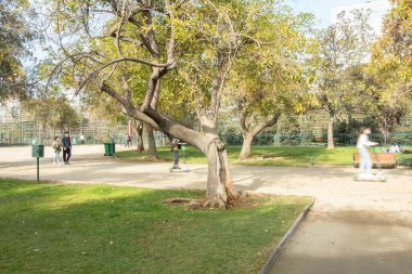 Santiago de Chile - Şili, 27-06-2021: Bükülmüş ve üzerinde bir sürü yaprak bulunan bir park. İnsanlar parkta yürüyorlar ve banklar ve üzerinde bir kişi oturuyor..