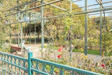 Parktaki bankta oturan bir adam var. Park ağaçlar ve çiçeklerle dolu ve bölgenin etrafında bir çit var. Görüntünün atmosferi huzurlu ve rahatlatıcı.