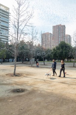 Santiago de Chile, Şili, 27-06-2021: Bir grup insan köpeklerini parkta gezdiriyor. Gökyüzü açık ve güneş parlıyor..