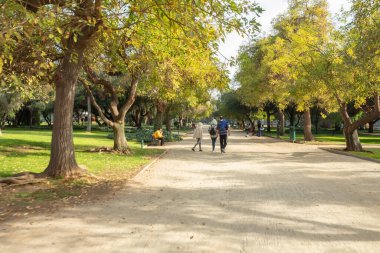 Santiago de Chile - Şili, 27-06-2021: Bir grup insan parkta bir patikada yürüyor. Yol ağaçlarla kaplı ve yol boyunca banklar var. Manzara huzurlu ve rahatlatıcı..