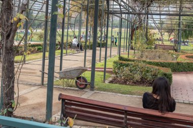 Parktaki bankta oturan bir kadın. Park insanlarla ve ağaçlarla dolu. Önde bir el arabası var.