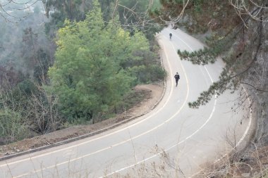 Santiago de Chile - Şili, 27-06-2021: Bir adam arka planda bir ağaçla dolambaçlı bir yolda koşuyor. Yol kıvrımlı ve adam yolun kenarında koşuyor..