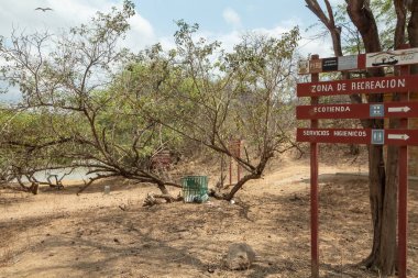 Tumbes, Tumbes, Garbanzal - Peru 12-11-2021: İspanyolca bir işaret dinlenme yerinin yönünü gösterir. Bölge çorak ve bir sürü ağacı var.