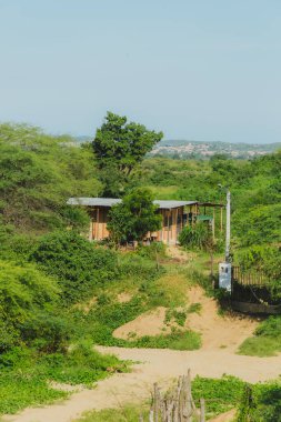 Küçük bir ev ağaçlar ve çalılarla çevrilidir. Ev ahşaptan yapılmış ve teneke bir çatısı var. Arazi yabani otlarla kaplı ve eve giden toprak bir yol var.