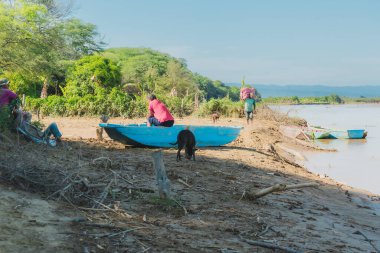 Bir adam kumsalda mavi bir teknede oturuyor. Bir köpek teknenin yanında sahilde yürüyor.