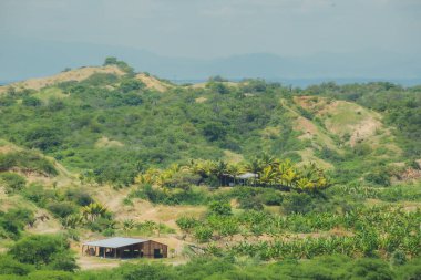 Birkaç evi ve ahırı olan yemyeşil bir yamaç. Tepe ağaçlarla kaplı ve gökyüzü bulutlu.