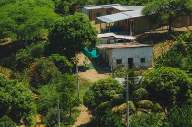 Beyaz evi ve yeşil ağacı olan küçük bir köy. Ev ağaçlarla çevrili ve ağaçtan sarkan yeşil bir battaniye var.