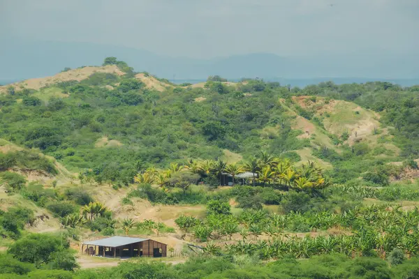 Birkaç evi ve ahırı olan yemyeşil bir yamaç. Tepe ağaçlarla kaplı ve gökyüzü bulutlu.